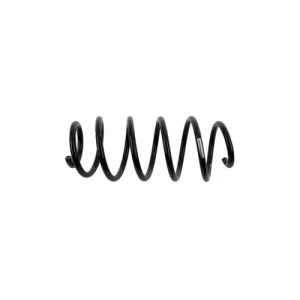 VOLVO ALKATRÉSZ : -1016553-Volvo-Rugó, hátsó