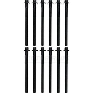 VOLVO ALKATRÉSZ : 9 497 825 (12X),9497825-14-32305-01-Volvo-Hengerfejcsavar készlet