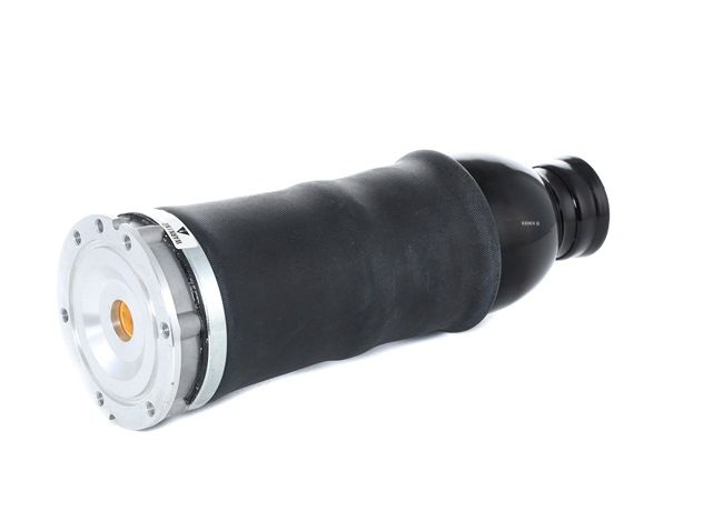 RIDEX Légrugó - 4119A0022