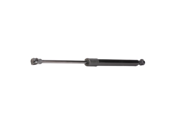 RIDEX Csomagtérajtó teleszkóp - 219G0871