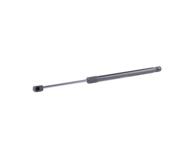 RIDEX Csomagtérajtó teleszkóp - 219G0890
