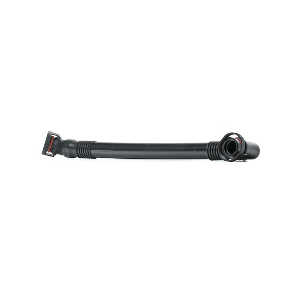 RIDEX Kartergáz cső - 1600H16000016