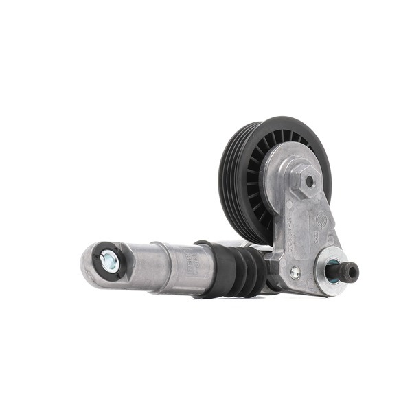 RIDEX PLUS Hosszbordásszíj feszítő - 541V0024P