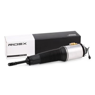RIDEX Légrugós lengéscsillapító - 4118A0002 - Image 2