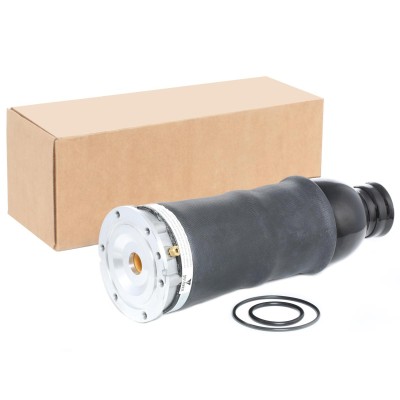 RIDEX Légrugó - 4119A0022 - Image 2