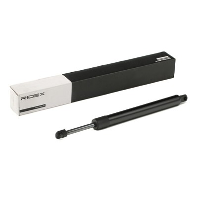 RIDEX Csomagtérajtó teleszkóp - 219G0883 - Image 2