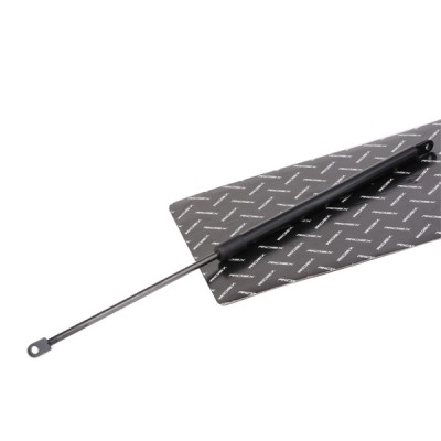 RIDEX Csomagtérajtó teleszkóp - 219G0884 - Image 2