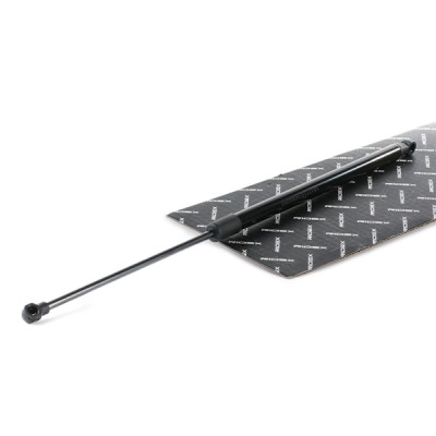 RIDEX Csomagtérajtó teleszkóp - 219G0888 - Image 2