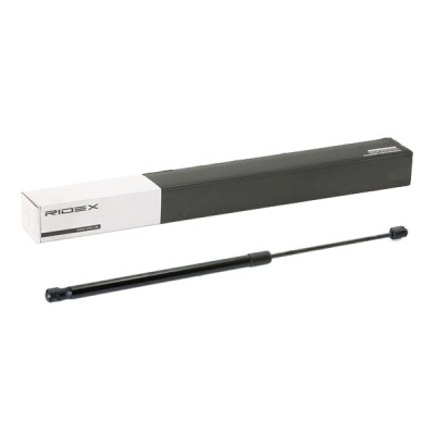 RIDEX Csomagtérajtó teleszkóp - 219G0905 - Image 2
