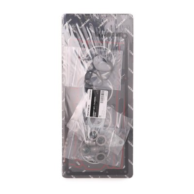 RIDEX Hengerfej tömítéskészlet - 319G0089