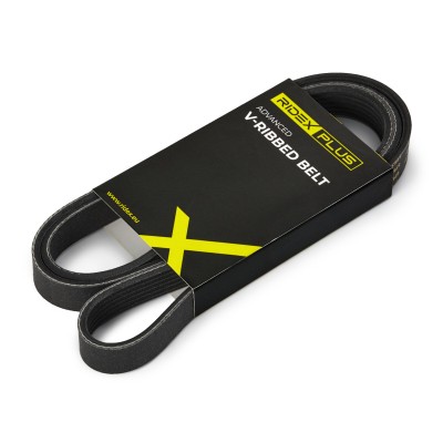 RIDEX PLUS Hosszbordásszíj - 305P0173P - Image 2